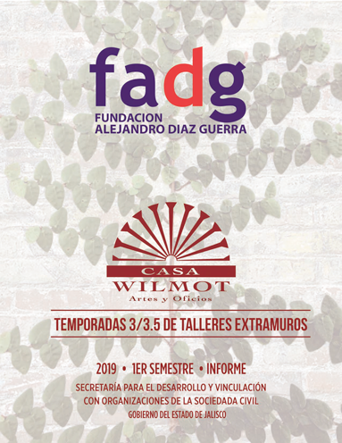 2019 FADG Informe 1er semestre