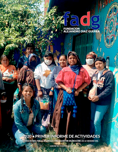 2020 FADG Informe 1er semestre